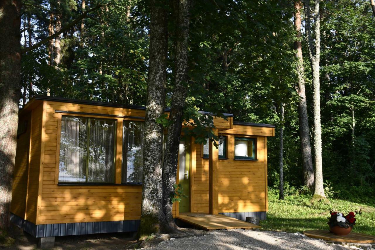 Kempings Ezerpriedes Burtnieki  Extérieur photo