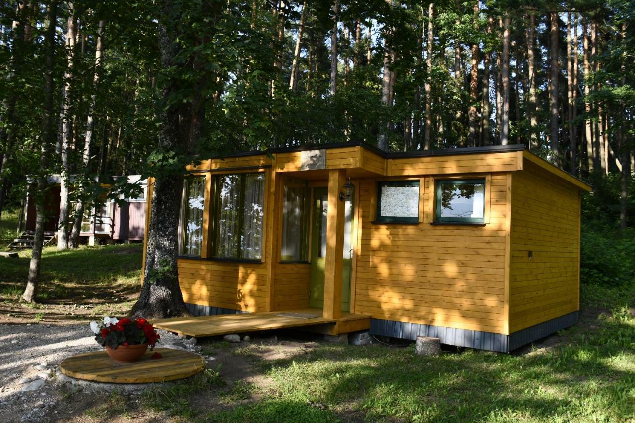 Kempings Ezerpriedes Burtnieki  Extérieur photo